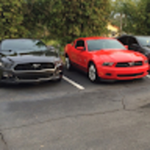 Meet your Posher, Kevin - Picture 1 of 1